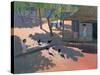 Hens and Chickens, Cuba, 1997-Andrew Macara-Stretched Canvas