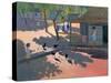 Hens and Chickens, Cuba, 1997-Andrew Macara-Stretched Canvas