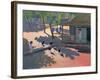 Hens and Chickens, Cuba, 1997-Andrew Macara-Framed Giclee Print