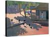 Hens and Chickens, Cuba, 1997-Andrew Macara-Stretched Canvas