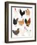 Hens In Glasses-Hanna Melin-Framed Art Print