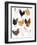 Hens In Glasses-Hanna Melin-Framed Art Print