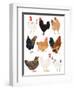 Hens In Glasses-Hanna Melin-Framed Art Print