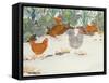 Hens in the Vegetable Patch-Linda Benton-Framed Stretched Canvas