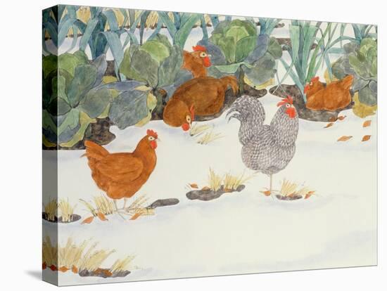 Hens in the Vegetable Patch-Linda Benton-Stretched Canvas