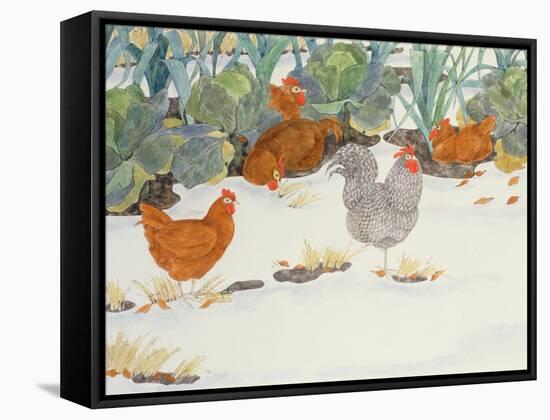 Hens in the Vegetable Patch-Linda Benton-Framed Stretched Canvas