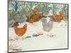 Hens in the Vegetable Patch-Linda Benton-Mounted Giclee Print