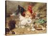 Hens Roosting with their Chickens-Eugene Remy Maes-Stretched Canvas