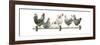 Hens, White Background-Janet Pidoux-Framed Giclee Print