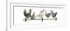 Hens, White Background-Janet Pidoux-Framed Premium Giclee Print