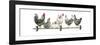 Hens, White Background-Janet Pidoux-Framed Premium Giclee Print