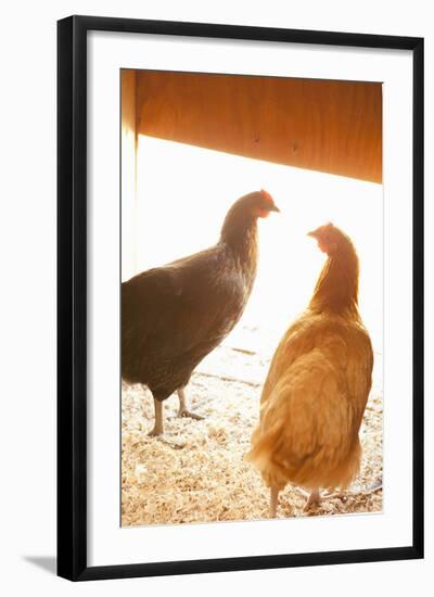 Hens-Karyn Millet-Framed Photographic Print