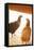 Hens-Karyn Millet-Framed Stretched Canvas