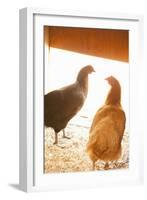 Hens-Karyn Millet-Framed Photographic Print