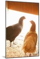 Hens-Karyn Millet-Mounted Photographic Print