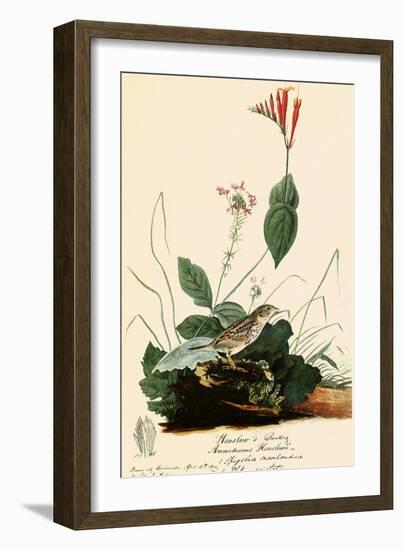 Henslow's Sparrow-John James Audubon-Framed Giclee Print