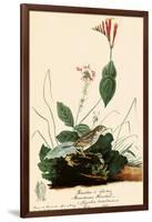 Henslow's Sparrow-John James Audubon-Framed Giclee Print