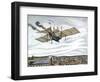 Henson and Stringfellow's 1843 Design for Steam-Powered Flying Machine, 1843-null-Framed Giclee Print