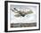 Henson and Stringfellow's 1843 Design for Steam-Powered Flying Machine, 1843-null-Framed Giclee Print