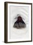 Heo-A-H'Co-A-H'-Cotes-Min, a Flat Head Warrior, 1848-Harris-Framed Giclee Print