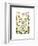 Hepaticae-Ernst Haeckel-Framed Art Print
