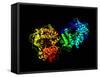 Hepatitis C Virus Enzyme, Molecular Model-Laguna Design-Framed Stretched Canvas