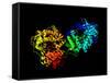 Hepatitis C Virus Enzyme, Molecular Model-Laguna Design-Framed Stretched Canvas