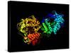 Hepatitis C Virus Enzyme, Molecular Model-Laguna Design-Stretched Canvas