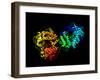 Hepatitis C Virus Enzyme, Molecular Model-Laguna Design-Framed Photographic Print