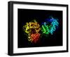 Hepatitis C Virus Enzyme, Molecular Model-Laguna Design-Framed Photographic Print