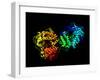 Hepatitis C Virus Enzyme, Molecular Model-Laguna Design-Framed Photographic Print