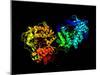 Hepatitis C Virus Enzyme, Molecular Model-Laguna Design-Mounted Photographic Print