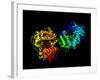 Hepatitis C Virus Enzyme, Molecular Model-Laguna Design-Framed Photographic Print