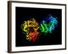 Hepatitis C Virus Enzyme, Molecular Model-Laguna Design-Framed Photographic Print