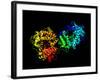 Hepatitis C Virus Enzyme, Molecular Model-Laguna Design-Framed Photographic Print