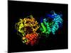 Hepatitis C Virus Enzyme, Molecular Model-Laguna Design-Mounted Photographic Print