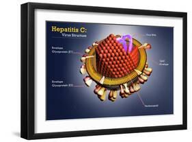 Hepatitis C Virus, Illustration-Science Source-Framed Giclee Print