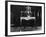 Hepplewhite Chair-null-Framed Photographic Print