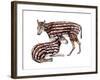 Heptodon-null-Framed Photographic Print