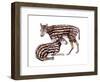 Heptodon-null-Framed Photographic Print