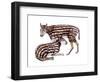 Heptodon-null-Framed Photographic Print