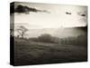 Heptonstall. a Landscape View in Yorkshire.-Fay Godwin-Stretched Canvas