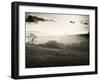 Heptonstall. a Landscape View in Yorkshire.-Fay Godwin-Framed Giclee Print