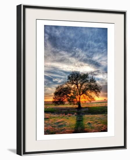 Her Evening Elegance-Trey Ratcliff-Framed Photographic Print