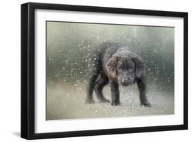 Her First Snow-Jai Johnson-Framed Premium Giclee Print