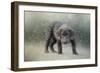 Her First Snow-Jai Johnson-Framed Giclee Print