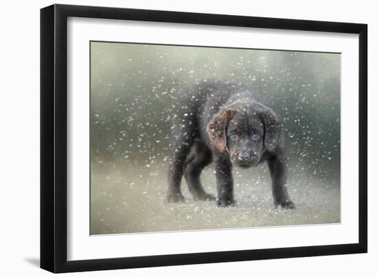 Her First Snow-Jai Johnson-Framed Giclee Print