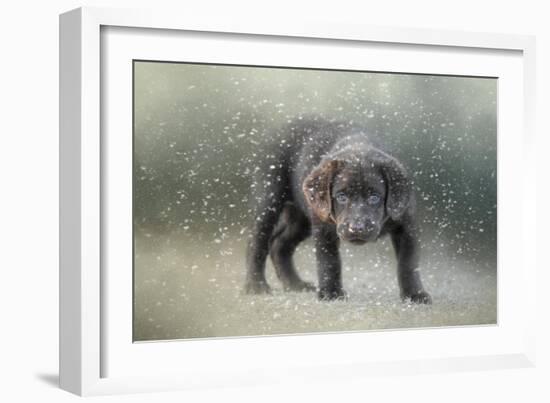 Her First Snow-Jai Johnson-Framed Giclee Print