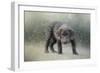 Her First Snow-Jai Johnson-Framed Giclee Print