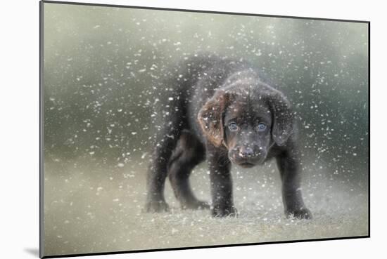 Her First Snow-Jai Johnson-Mounted Giclee Print